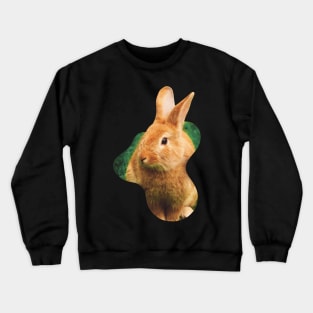 Easter Bunny with no eggs Crewneck Sweatshirt